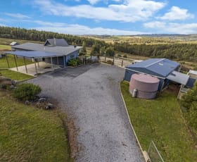 Rural / Farming commercial property sold at 218 Lamont Road Glengarry TAS 7275