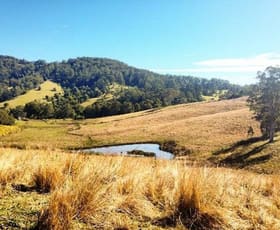 Rural / Farming commercial property sold at Lot 55 Sargents Road Homeleigh NSW 2474