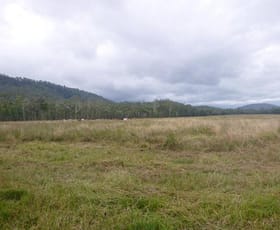 Rural / Farming commercial property sold at 1/ Carrig Dhown Road Long Pocket QLD 4850