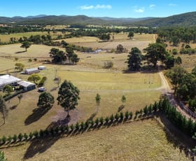 Rural / Farming commercial property sold at 353 Upper Rollands Plains Road Rollands Plains NSW 2441