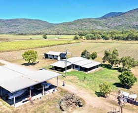 Rural / Farming commercial property sold at 7 Suthers Road Coolbie QLD 4850