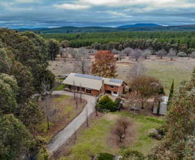 Rural / Farming commercial property sold at Stanley VIC 3747