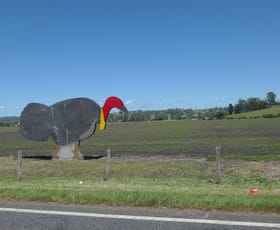 Rural / Farming commercial property for sale at 13171 Summerland Way Kyogle NSW 2474
