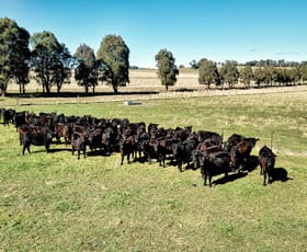 Rural / Farming commercial property sold at 220 Lyons Road Lyndhurst NSW 2797