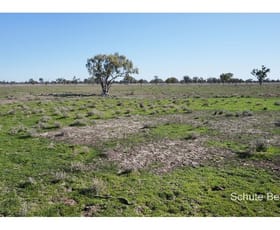 Rural / Farming commercial property sold at . Wolkara Brewarrina NSW 2839