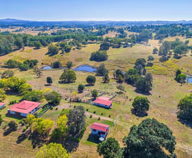 Rural / Farming commercial property sold at 40 Lynch Road East Deep Creek QLD 4570