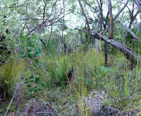 Rural / Farming commercial property sold at Lot 636 Thomas Road Avenue Range SA 5273