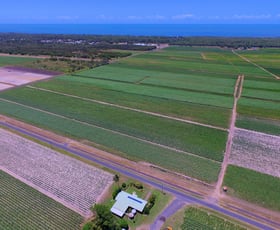 Rural / Farming commercial property sold at 453 Lindemans Rd Moore Park Beach QLD 4670