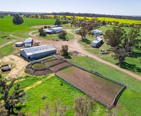 Rural / Farming commercial property sold at 1839 Etna Road 'Kilburnie' Broomehill West WA 6318