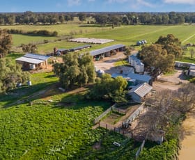 Rural / Farming commercial property sold at 123 Pitsons Road Bagshot VIC 3551