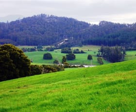 Rural / Farming commercial property sold at 33842 Tasman Highway Tulendeena TAS 7260
