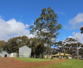 Rural / Farming commercial property sold at 70 Sealeys Road Sandford VIC 3312