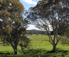 Rural / Farming commercial property sold at 443 Cavendish-Glendinning Road Cavendish VIC 3314