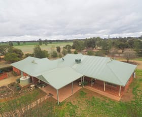 Rural / Farming commercial property sold at 7589 Burley Griffin Way Temora NSW 2666