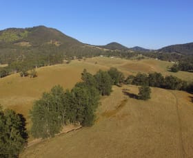 Rural / Farming commercial property sold at 4 Knodingbul Forest Road Mount George NSW 2424