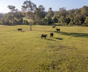 Rural / Farming commercial property sold at 92 Punchs Road Clarence Town NSW 2321