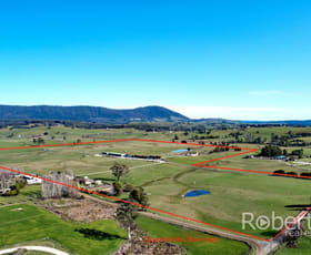 Rural / Farming commercial property sold at 193 Pennells Road Scottsdale TAS 7260