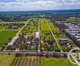 Rural / Farming commercial property sold at 66 Hillier Road Hillier SA 5116