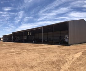 Rural / Farming commercial property sold at Narembeen WA 6369