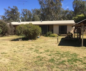 Rural / Farming commercial property sold at 2693 LACHLAN RIVER ROAD Hillston NSW 2675