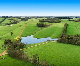 Rural / Farming commercial property sold at 660 Bucks Road Simpson VIC 3266