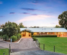 Rural / Farming commercial property sold at 864 Old North Road Pokolbin NSW 2320