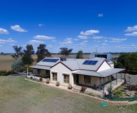 Rural / Farming commercial property sold at 91 Carrawobitty Lane Forbes NSW 2871