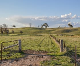 Rural / Farming commercial property sold at 8250 Castlereagh Highway Mudgee NSW 2850