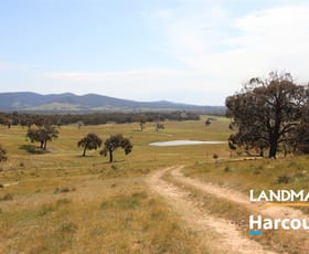 Rural / Farming commercial property sold at Amphitheatre VIC 3468