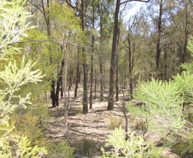 Rural / Farming commercial property sold at LOT 306 HAPPY LANE Tara QLD 4421