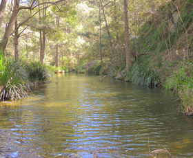 Rural / Farming commercial property sold at 419 Bakers Creek Road Gloucester NSW 2422