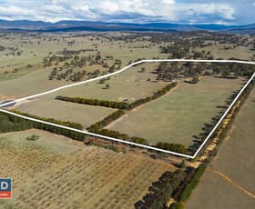 Rural / Farming commercial property sold at 175 Pollack Road Hoskinstown NSW 2621