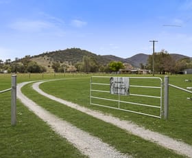Rural / Farming commercial property sold at "Peppertrees" 1067 Upper Moore Creek Road Tamworth NSW 2340