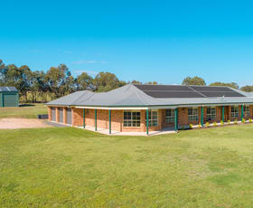 Rural / Farming commercial property sold at 1935 O'Connell Road O'connell NSW 2795