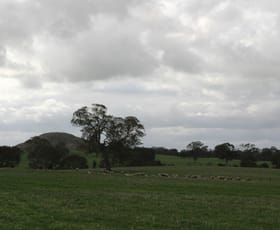 Rural / Farming commercial property sold at Mt Cavendish Road Cavendish VIC 3314