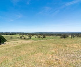 Rural / Farming commercial property sold at 331 Harvey Road Meadows SA 5201