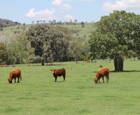 Rural / Farming commercial property sold at 304 Sunnyvale Road Bunya Mountains QLD 4405