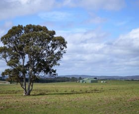 Rural / Farming commercial property sold at 177 Golden Plains Drive Quialigo NSW 2580