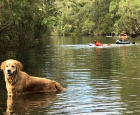 Rural / Farming commercial property sold at Tabulam NSW 2469