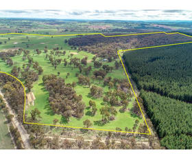Rural / Farming commercial property sold at 203 Schumachers Road Triangle Flat NSW 2795