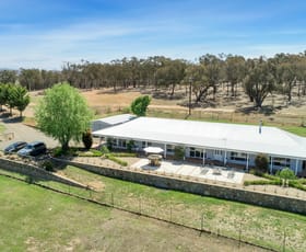 Rural / Farming commercial property sold at 275 Mulligans Flat Road Sutton NSW 2620
