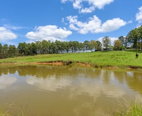 Rural / Farming commercial property sold at 38 Wattle Lane North Deep Creek QLD 4570