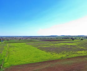 Rural / Farming commercial property sold at 164 Palmer Rd Nobby QLD 4360