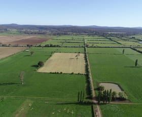 Rural / Farming commercial property sold at 3770 Meander Valley Road Exton TAS 7303
