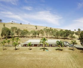 Rural / Farming commercial property sold at 281 Burra Road Gundagai NSW 2722