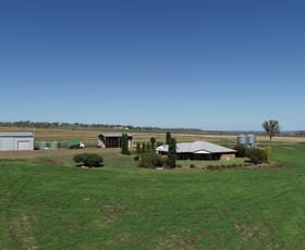 Rural / Farming commercial property sold at 491 Forest Springs Road Spring Creek QLD 4361