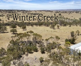 Rural / Farming commercial property sold at Section 560 Government Road Keyneton SA 5353
