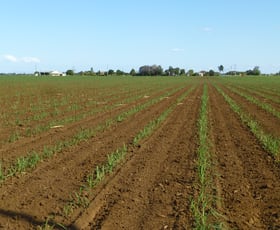 Rural / Farming commercial property sold at Woongarra QLD 4670