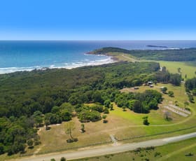 Rural / Farming commercial property sold at 711 Point Plomer Road Crescent Head NSW 2440
