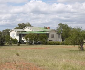 Rural / Farming commercial property sold at 534 Uandi rd Inglewood QLD 4387